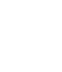 Adviseur